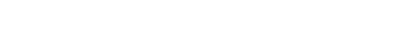 DER KIEBITZ