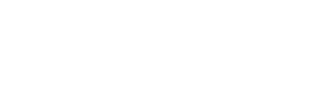 DIE 
STOCKENTE